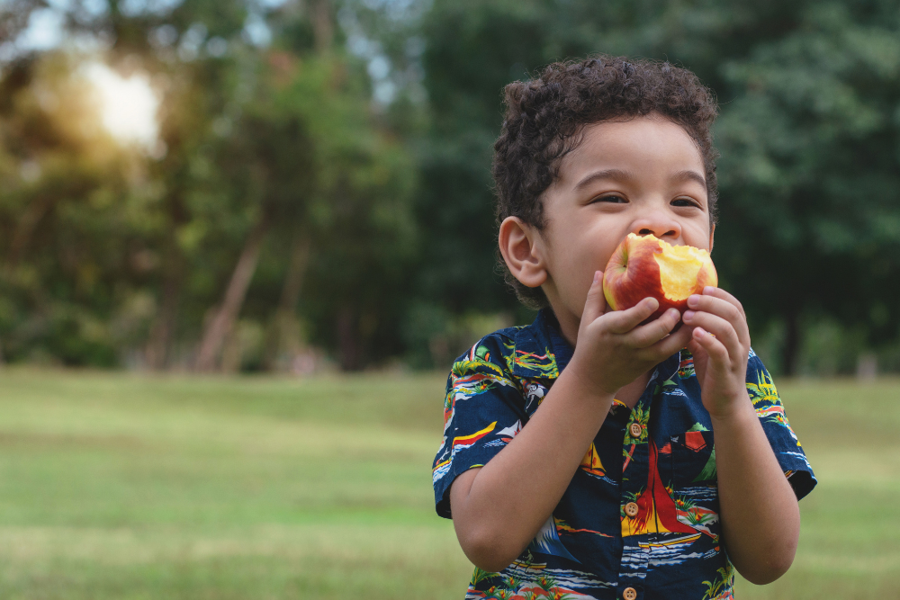 Portrait 4 year old child happy to eat an apples at outdoor park, healthy fruit for children 2
